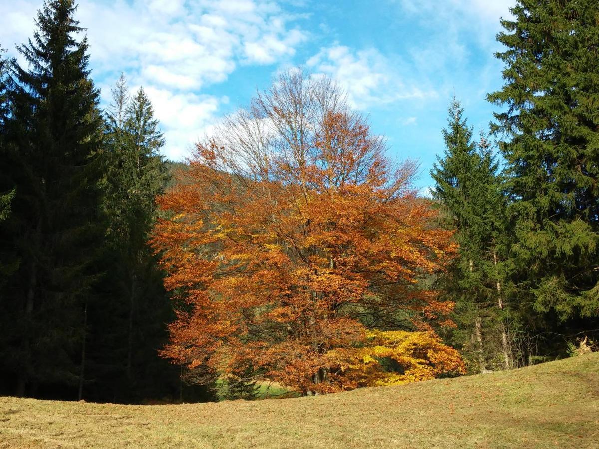 Appartamento Haus Haas Lermoos Esterno foto